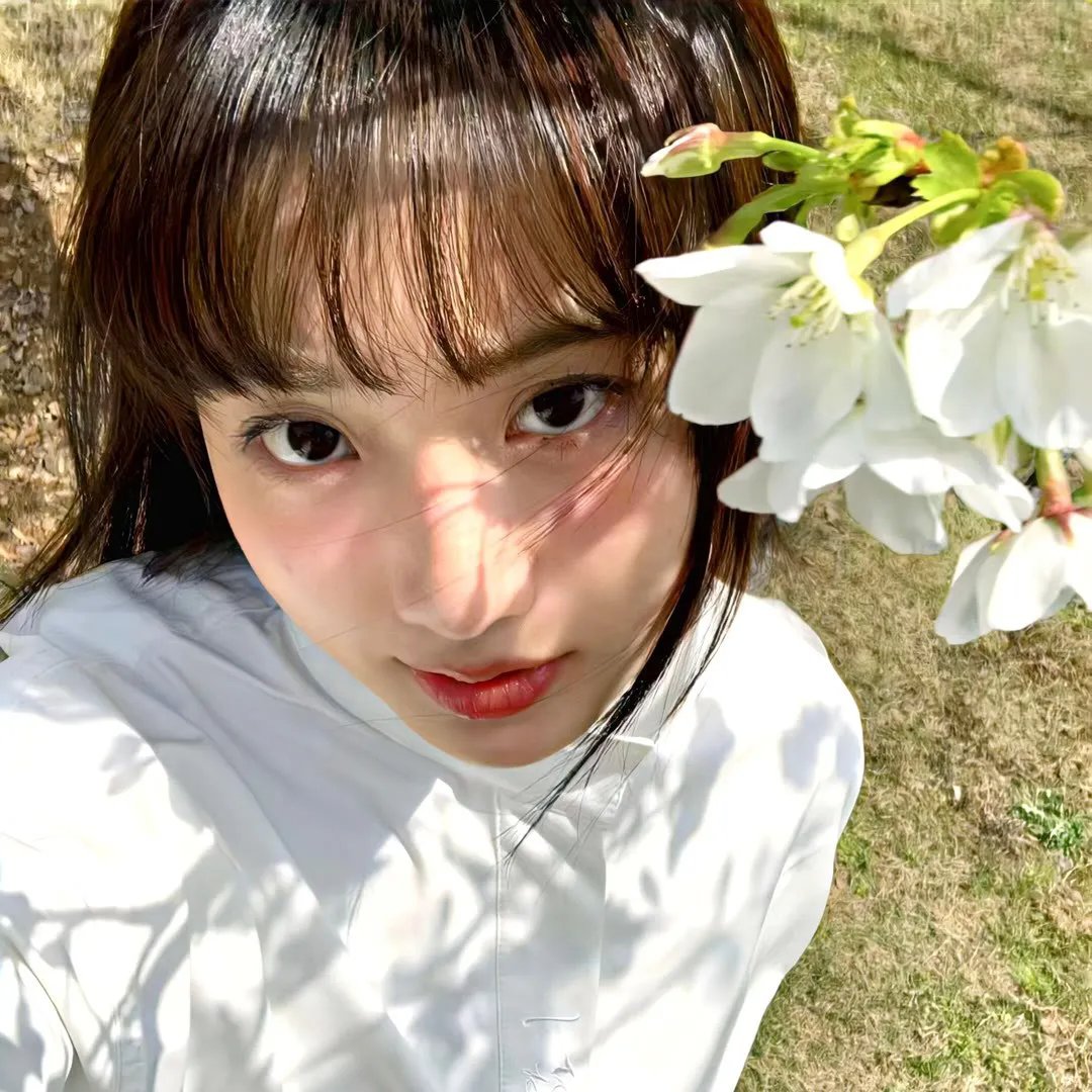 罗蕾莱
